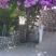 Уникална гледка - Апартамент Красичи, частни квартири в града Krašići, Черна Гора - Prilaz kući pored palme i cveća